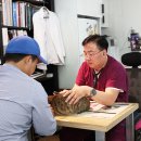 애니케어동물병원 이미지