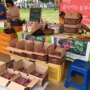 웅골 협동조합 이미지