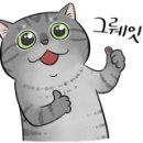 강씨네구이 이미지