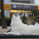 바보형제쭈꾸미(일산점) 이미지