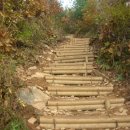 태영카센타 이미지