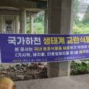 하천(안양대교) 이미지