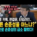 연쇄적으로 손준성의 급소를 찌르는 민주당 의원들! "또 다른 손준성을 아느냐?" 한동훈 카톡, 판결문, 타임라인..등으로 몰아붙였다! 이미지