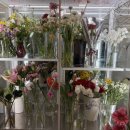 (주)범스 이미지