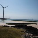 코난비치 이미지