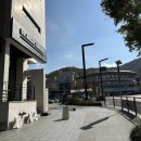 영상으로 만나는 발레<라 바야데르> | 탈인간급! 김기민, 박세은 페어 국립발레단 <라 바야데르> 후기