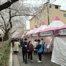 이교안경 | [진해군항제] 창원 진해군항제 벚꽃축제! 기간 3/27~4/5 (창원시 럭키드로우 뽑기까지 참여!!)