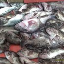 신도펜션 이미지