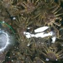 친구수산 이미지