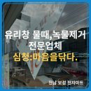보성마트 | [유리창 물때제거] 오래된 물때도 효과적으로 지우는 업체. 전남 보성 전자마트 유리창청소 후기.
