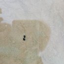 벌벌 떨다왔시유. 이미지