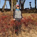 2025-12-1 팔봉 하늘공원 자전거 탐사 이미지