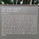 은행나무가든 이미지