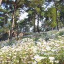 신기마을(십장생마을) 이미지