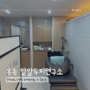 알알 탈모두피 연구소(ALAL) | 지루성두피관리 잘하는곳! 목동역 ALAL 알알 두피클리닉받고온 후기