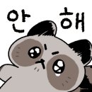 해피베어 네이버블로그