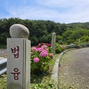 태종대과일
