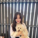 이화누리약국 | [21&#39; 6월 Daily] 무난무난히 흘러가는 일상