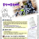경기엘림어린이집 이미지