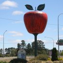 일중농장 이미지