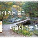 공감