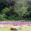 성우합명