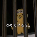 시月 이미지