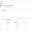 흥진정공 이미지