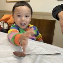 용궁횟집 | 전북 아이랑 고창 상하농원 (ft.구시포해변, 용궁횟집, 파머스카페)
