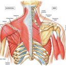 코끼리정형외과의원 이미지