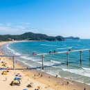 무창포해수욕장오토캠핑장 | 2026 보령 대천해수욕장 &amp; 스카이바이크 완전정복 | 대천해수욕장 캠핑장 명당 + 키조개 삼합 미식 코스