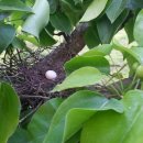 둥지농원 이미지