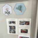 남해회센타 이미지