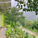 영이네민박 이미지