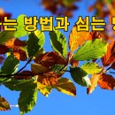 에버그린종묘 | 밤나무 묘목 구입하는 방법과 심는 방법