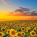 아산충무병원 사거리 이미지