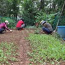 삼정경로당 이미지