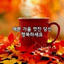 10월5일 세계불꽃축제 영상 이미지