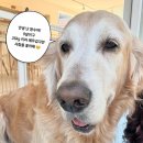 무병짱수 이미지