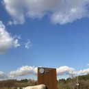 카페돌