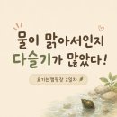 맑은개울 캠핑장 | 영월 요기는캠핑장 후기 | 운학천 계곡과 아이랑 캠핑 2일차