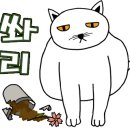 서호온누리약국 이미지