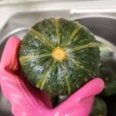 다민농장 이미지