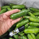 판매종료 // 미니 스낵오이 , 무안 꿀고구마(로얄과, 특품) 이미지