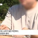 변호사가 판결문 위조...소송도 안하고 "승소했다" 이미지