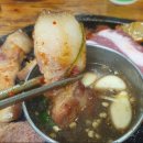 해성도뚜리 이미지