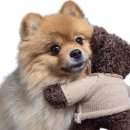 시립관악노인종합복지관 | 올네이션스 목자의 기도원, 시립 관악 노인종합복지관에 100만원 후원