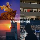 아껴줄개 | 뉴욕 여행 경비 아껴줄 필수 티켓 예약! 뉴욕 미술관 전망대 뮤지컬