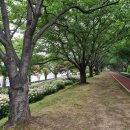 창대카서비스 이미지