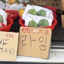 지풍곡 | 안녕하세요 포켓몬마스터 조예인입니다.